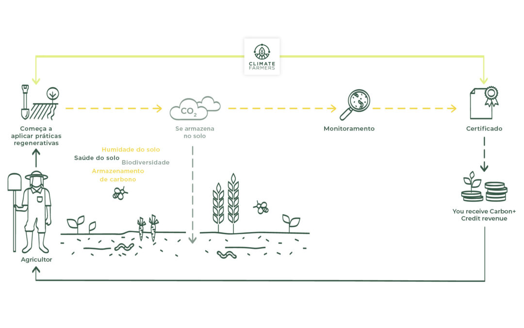 O que são créditos de carbono para agricultores e como podem beneficiar a sua exploração?