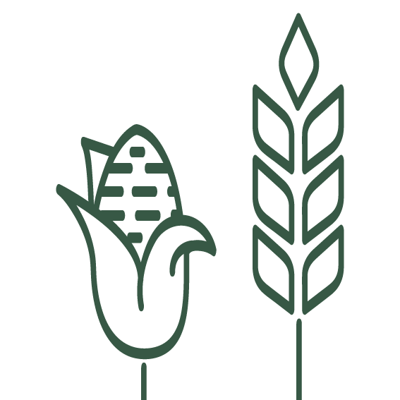 crop-maize_0,75 pt — green