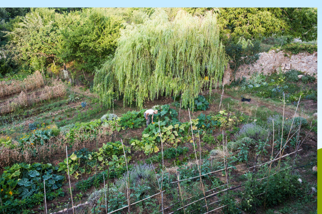 The Southern Light Farm_1