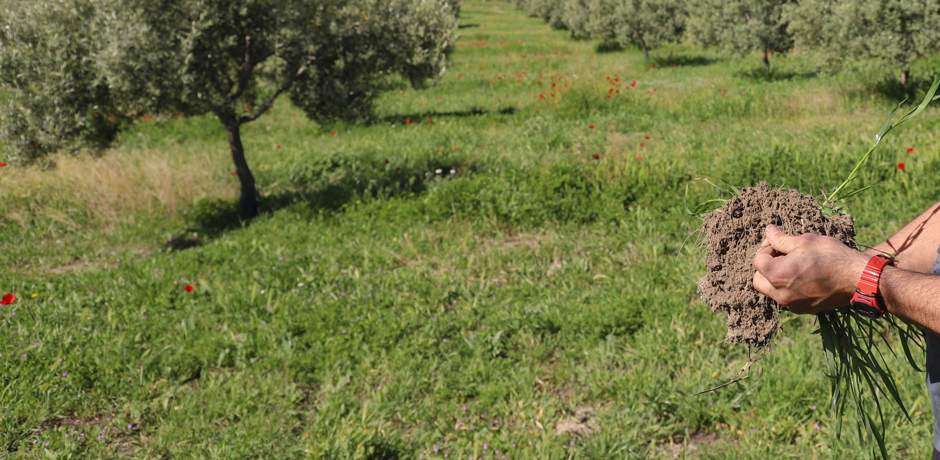 IMG_8961-Header-image