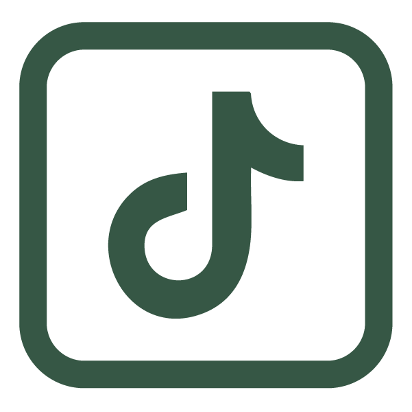 Website Icon