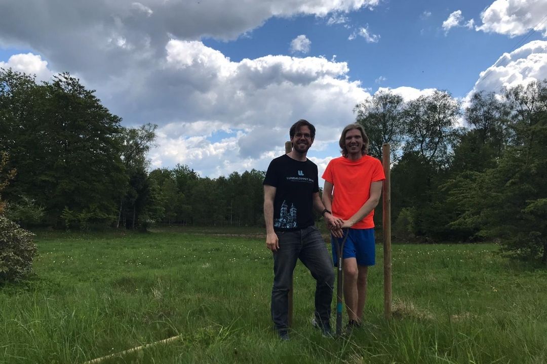 The Southern Light Farm_1