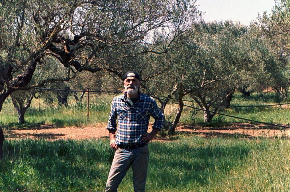 Dimitris Athanasopoulos | Agrimakis | 5 ha | Olive Farming | Greece
